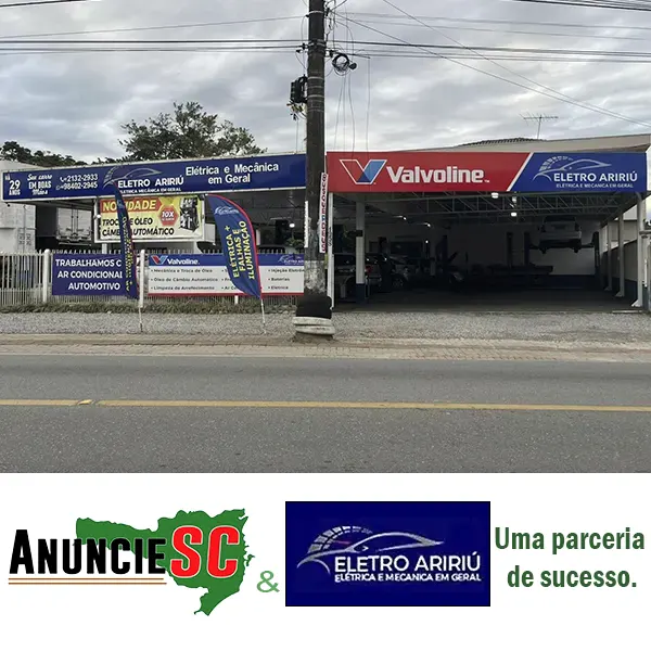 Imagem principal da fachada da empresa Eletro Aririú Soluções Automotivas