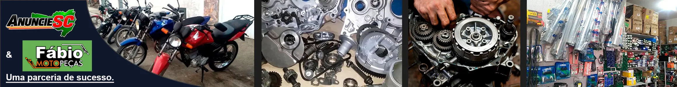 Fábio Motopeças