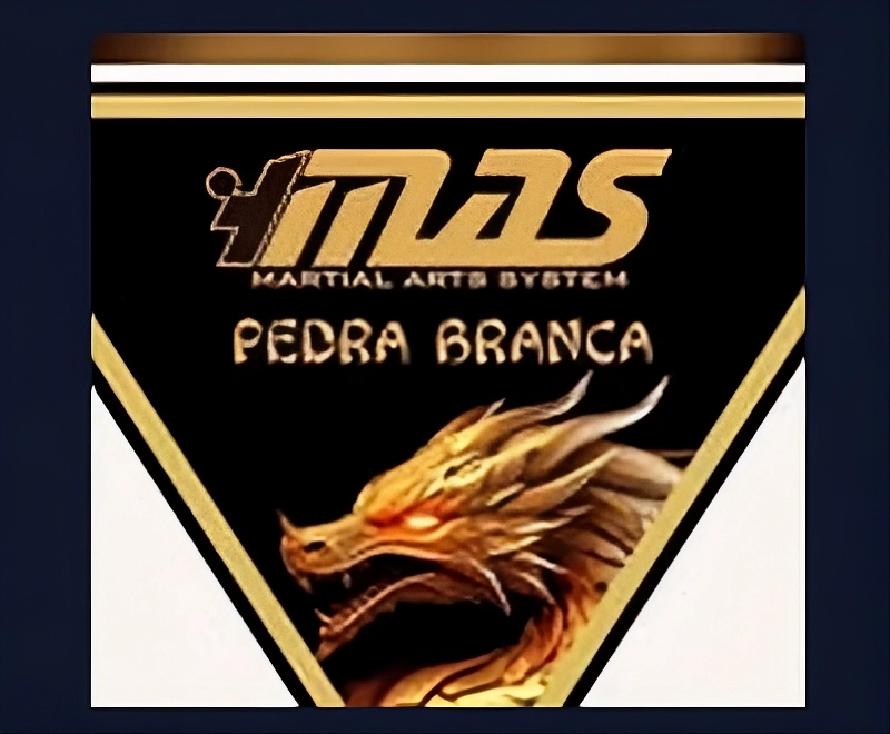MAS MARTIAL ARTS SYSTEM